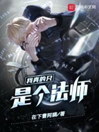 我真的只是个法师！